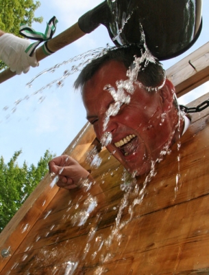 This image for Image Layouts addon