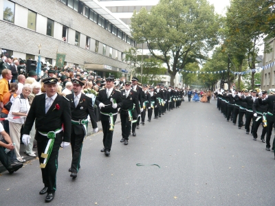 This image for Image Layouts addon