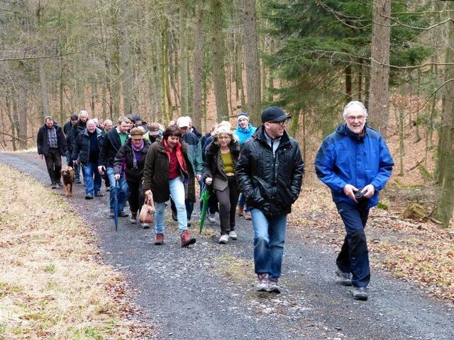 This image for Image Layouts addon