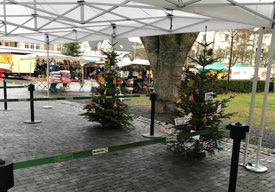 wunschbaum 3